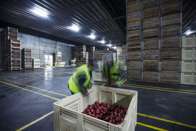 Two workers inspecting apples in distribution warehouse