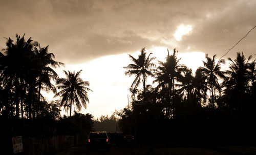 Silhouette of palm trees against cloudy sky