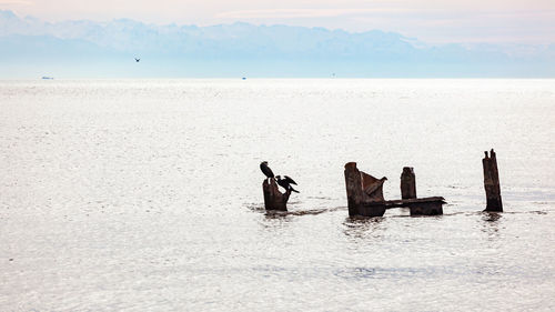 People on beach against sky