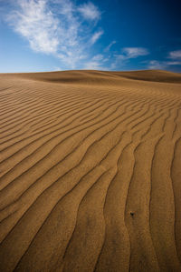 Sand dunes in desert against sky