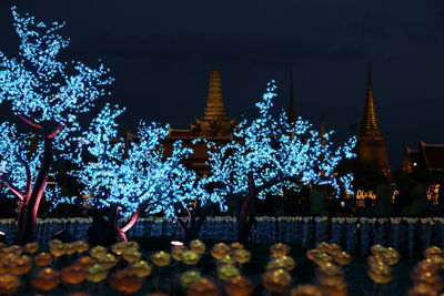 Illuminated christmas tree outside building at night