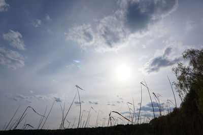 Sun shining through clouds