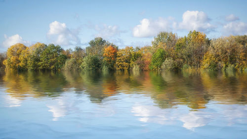 Scenic view of lake by trees against sky