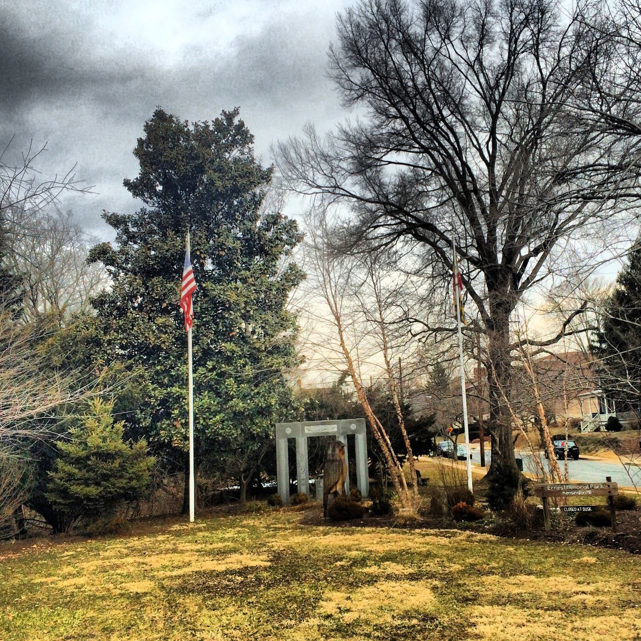 tree, architecture, building exterior, built structure, sky, bare tree, house, growth, cloud - sky, grass, branch, nature, field, no people, day, outdoors, tranquility, residential structure, tree trunk, cloudy