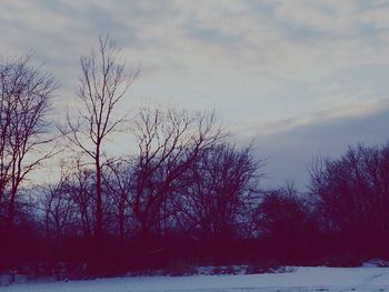 Scenic view of snow covered landscape