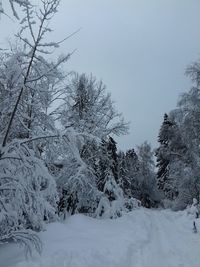 Trees on snow covered landscape against clear sky