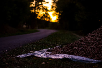 Surface level of road amidst trees on field during sunset