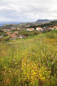 Landscape with mountain range in background