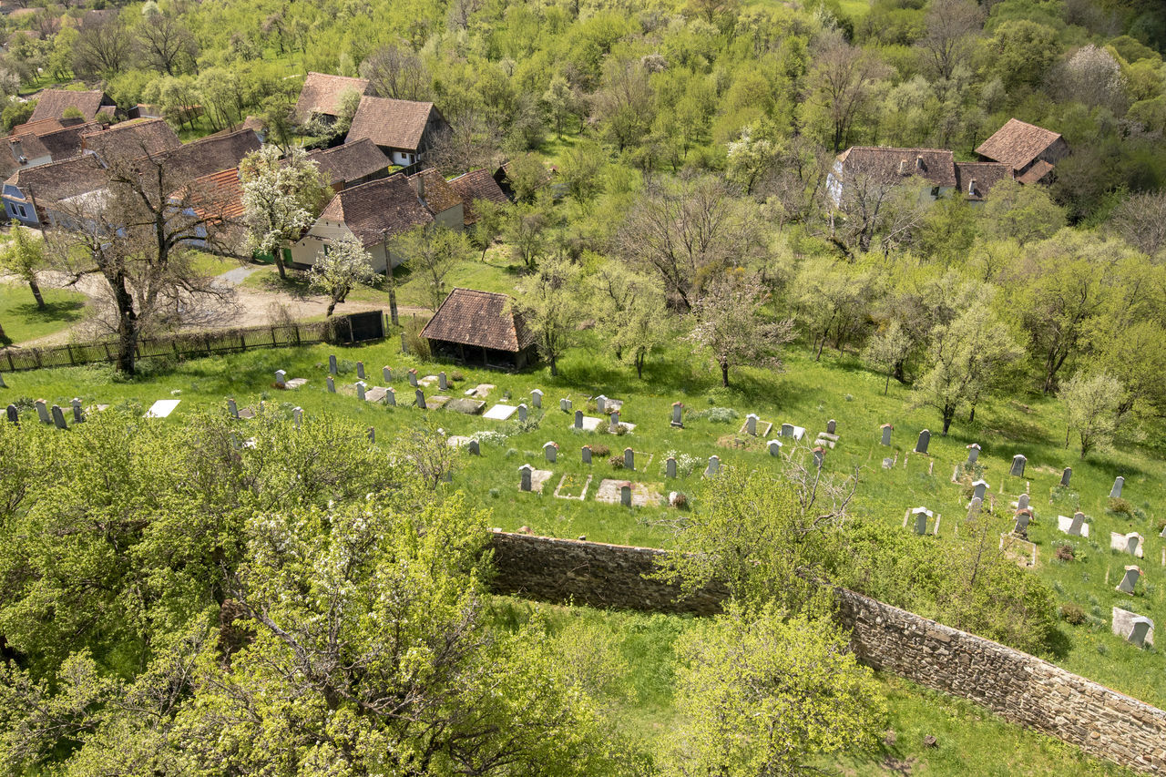 HIGH ANGLE VIEW OF TREES AND HOUSES ON FIELD