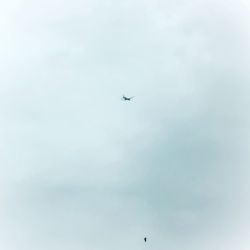 Low angle view of airplane flying in sky