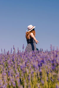 Woman in a hat standing in lavender flowers field, view from the back