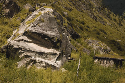 Scenic view of landscape