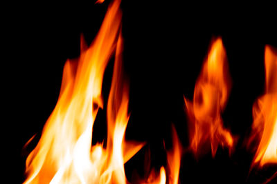 Close-up of bonfire at night