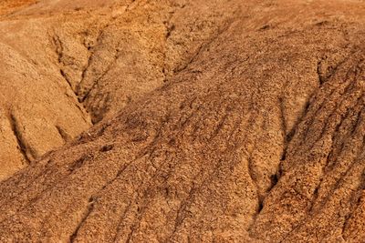 Full frame shot of rock on land