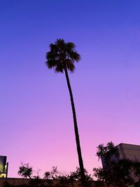 Low angle view of silhouette coconut palm tree against romantic sky