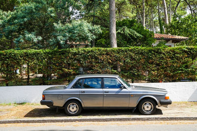 Vintage car on road in forest