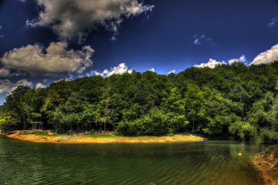 Trees by lake against sky