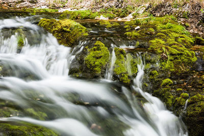 View of waterfall in forest