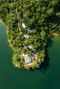 High angle view of tree by building