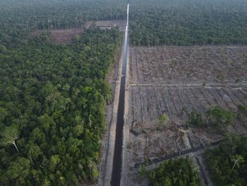 High angle view of road amidst trees in forest