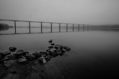 The vejle fjord bridge in foggy weather, denmark