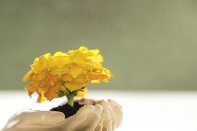 Close-up of yellow flower vase on table