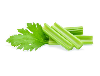 Close-up of green leaf against white background