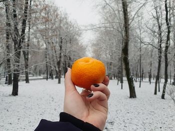 Person holding tangerine in winter