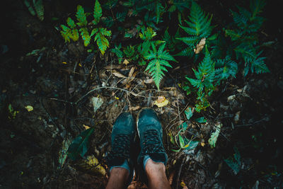 Low section of shoes person standing on field in rainforest