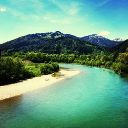 Scenic view of lake in forest against sky