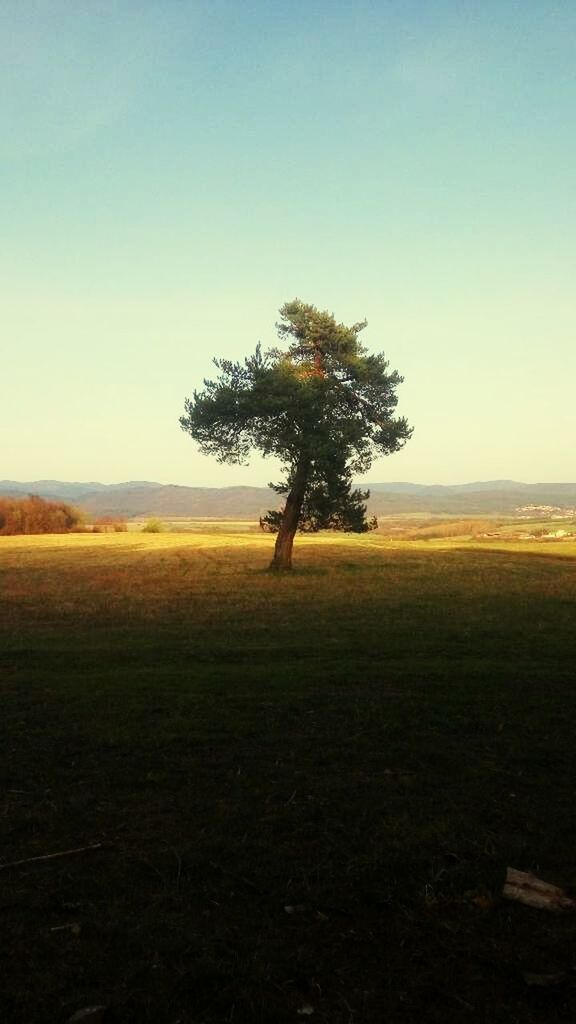Image result for clear sky field