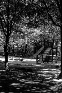 Trees in park during autumn