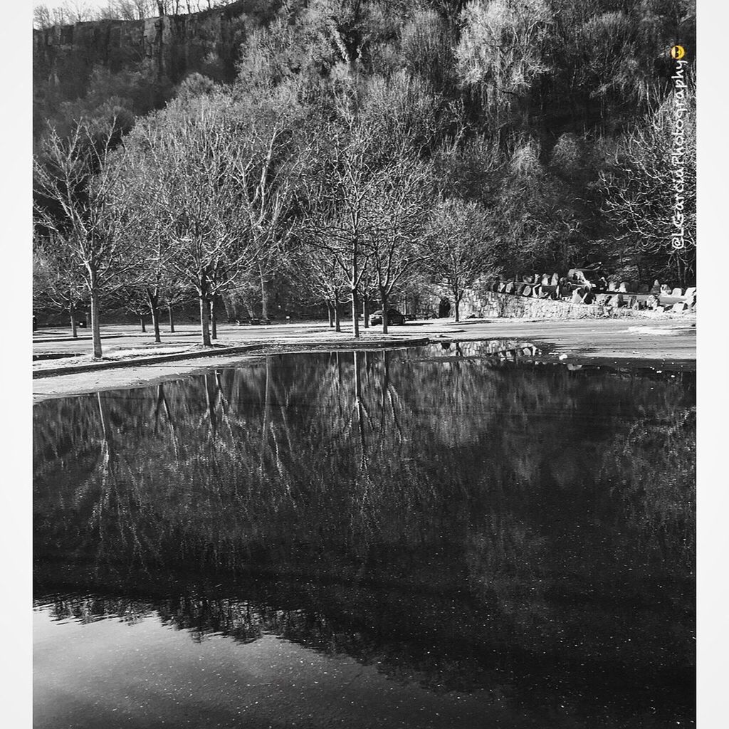 transfer print, water, tree, reflection, auto post production filter, lake, waterfront, tranquility, nature, tranquil scene, river, growth, pond, beauty in nature, scenics, day, outdoors, standing water, plant, no people