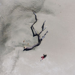 Aerial view of woman lying on sand by driftwood