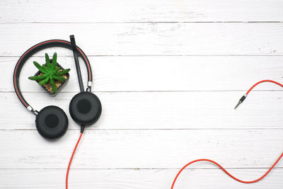 High angle view of potted plant on table