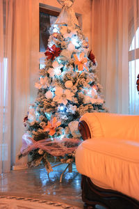 Christmas tree at home