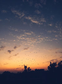 Low angle view of silhouette trees against sky during sunset