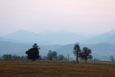 Scenic view of landscape against clear sky