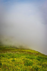 Mountain with green grass and amazing sky image is showing the amazing beauty