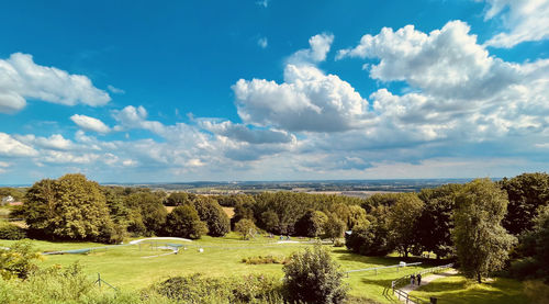 Panoramic shot of trees on field against sky