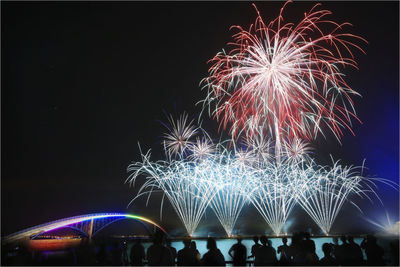 Firework display at night
