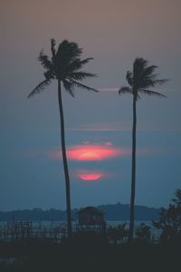 Silhouette palm trees against sky during sunset