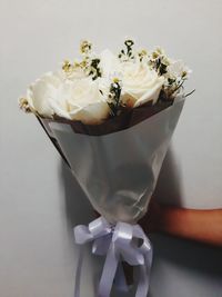 Close-up of white rose flower