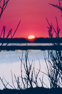 Silhouette bare tree by lake against romantic sky at sunset