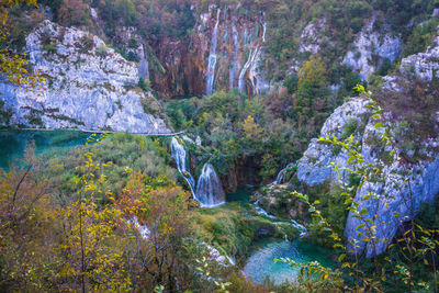 Scenic view of waterfall in forest