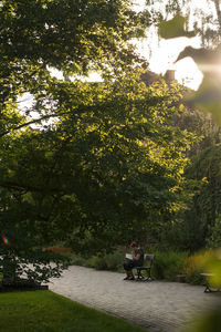 Man and trees on grass