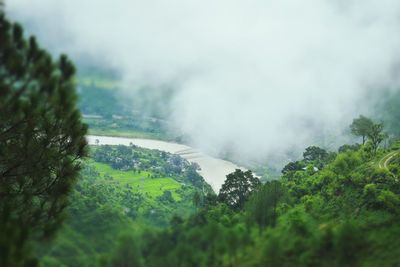 Scenic view of waterfall