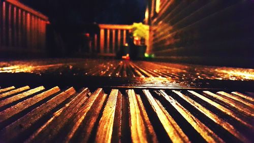 Close-up of leaves at night