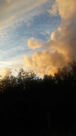 Scenic view of trees against sky at sunset