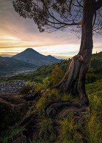 Scenic view of landscape against sky during sunset